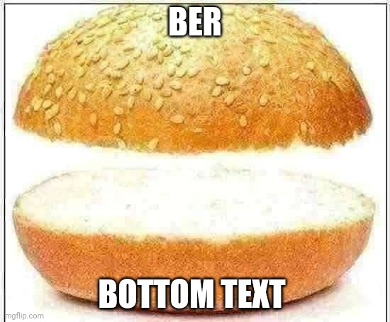 Nothing burger | BER; BOTTOM TEXT | image tagged in nothing burger | made w/ Imgflip meme maker
