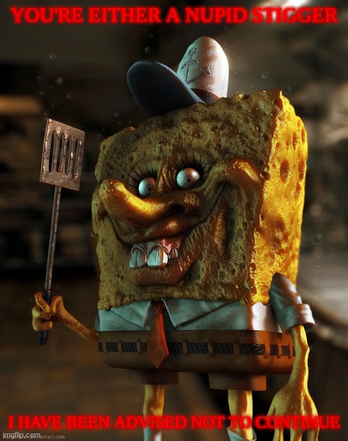 Realistic SpongeBob | YOU'RE EITHER A NUPID STIGGER; I HAVE BEEN ADVISED NOT TO CONTINUE | image tagged in realistic spongebob | made w/ Imgflip meme maker