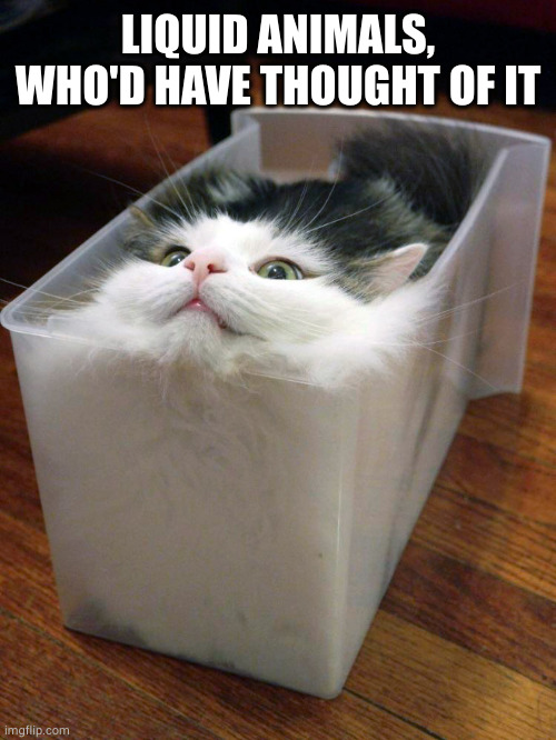 Liquid Cat | LIQUID ANIMALS, WHO'D HAVE THOUGHT OF IT | image tagged in liquid cat | made w/ Imgflip meme maker
