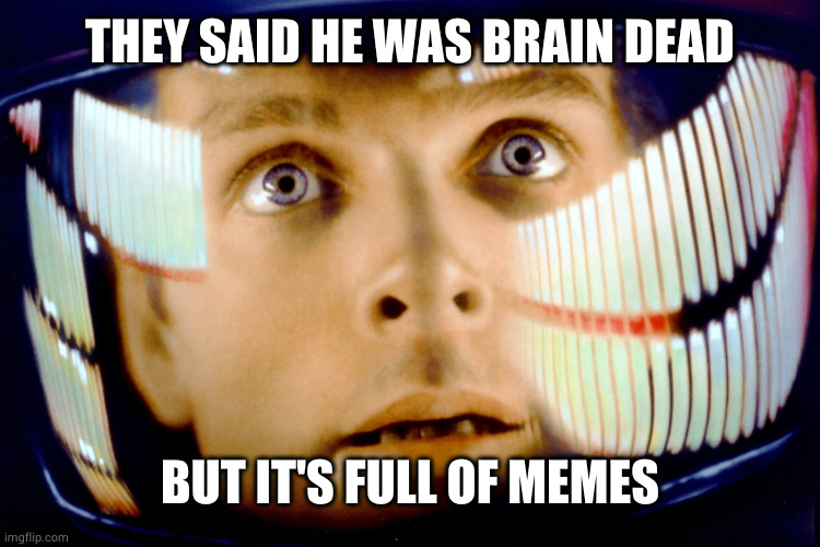 My God It's Full of Stars | THEY SAID HE WAS BRAIN DEAD BUT IT'S FULL OF MEMES | image tagged in my god it's full of stars | made w/ Imgflip meme maker