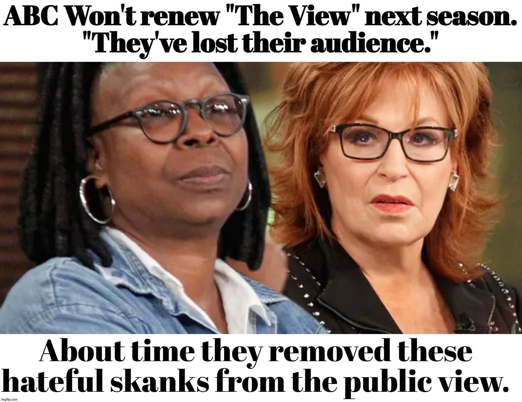 About time they removed these hateful skanks from the public view. | image tagged in the view,cancelled,skanks,whoopi goldberg,joy behar,trump derangement syndrome | made w/ Imgflip meme maker