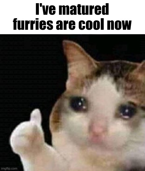 sad thumbs up cat | I've matured furries are cool now | image tagged in sad thumbs up cat | made w/ Imgflip meme maker