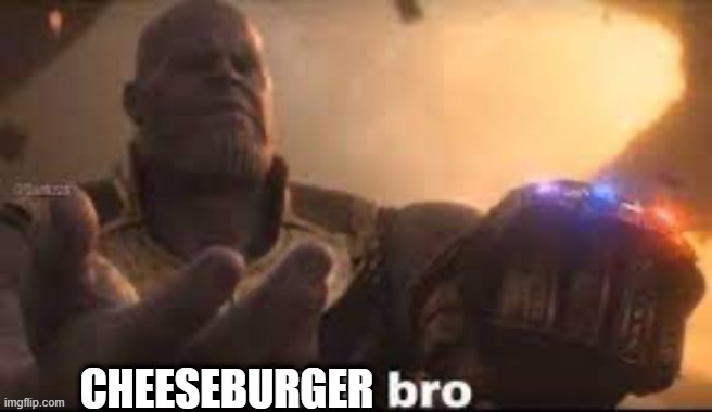 link bro | CHEESEBURGER | image tagged in link bro | made w/ Imgflip meme maker