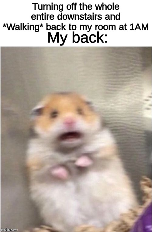 My back just wants me to run | Turning off the whole entire downstairs and *Walking* back to my room at 1AM; My back: | image tagged in scared hamster,scary,dark | made w/ Imgflip meme maker