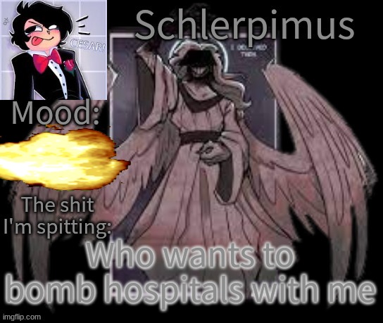 Schlerpimus Announcement Temp | Who wants to bomb hospitals with me | image tagged in schlerpimus announcement temp | made w/ Imgflip meme maker