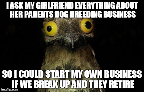 Weird Stuff I Do Potoo Meme | I ASK MY GIRLFRIEND EVERYTHING ABOUT HER PARENTS DOG BREEDING BUSINESS SO I COULD START MY OWN BUSINESS IF WE BREAK UP AND THEY RETIRE | image tagged in memes,weird stuff i do potoo,AdviceAnimals | made w/ Imgflip meme maker