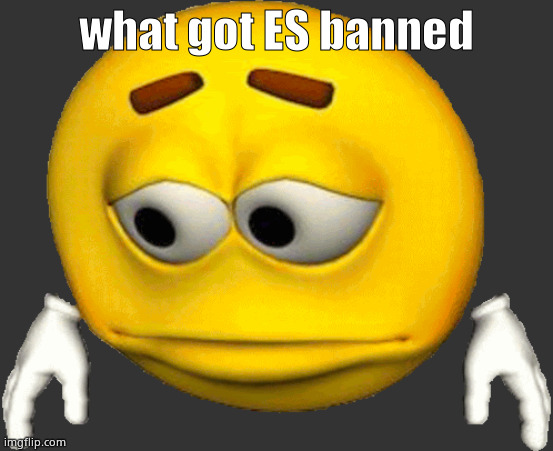 Sad Emoji | what got ES banned | image tagged in sad emoji | made w/ Imgflip meme maker