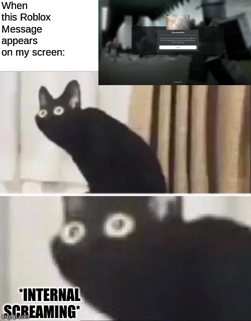 i think it just disconnected me right? :))) | When this Roblox Message appears on my screen:; *INTERNAL SCREAMING* | image tagged in oh no black cat,roblox | made w/ Imgflip meme maker