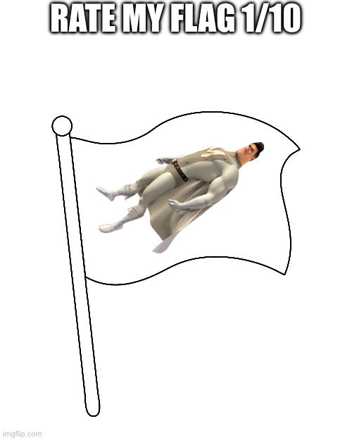 blank flag | RATE MY FLAG 1/10 | image tagged in blank flag | made w/ Imgflip meme maker