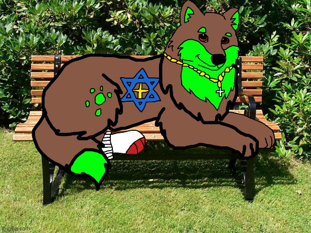 What would you do if you saw this wolf on a bench?(it's 3 times your size, and 3 times original weight. Not fat, but big boned) | image tagged in you've been benched | made w/ Imgflip meme maker