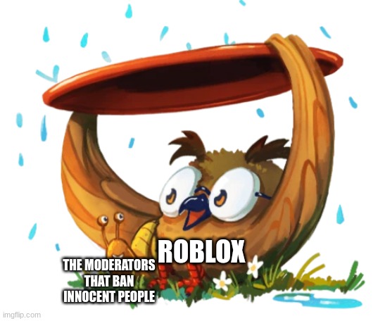 do you approve? | ROBLOX; THE MODERATORS THAT BAN INNOCENT PEOPLE | image tagged in snail,owl,roblox,rblx,frisbee,rain | made w/ Imgflip meme maker