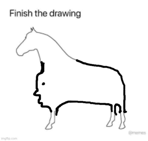 Finish the drawing | image tagged in finish the drawing | made w/ Imgflip meme maker