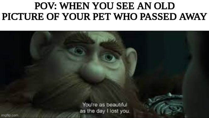 You're as beautiful as the day I lost you | POV: WHEN YOU SEE AN OLD PICTURE OF YOUR PET WHO PASSED AWAY | image tagged in you're as beautiful as the day i lost you | made w/ Imgflip meme maker