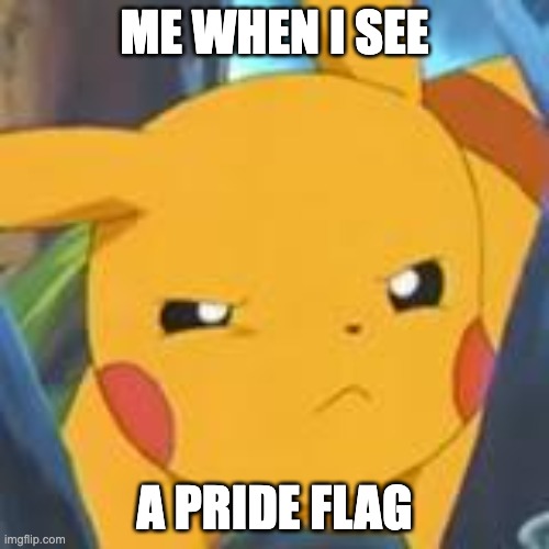 unimpressed pikachu | ME WHEN I SEE; A PRIDE FLAG | image tagged in unimpressed pikachu | made w/ Imgflip meme maker