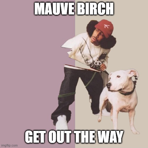 Mauve birch | MAUVE BIRCH; GET OUT THE WAY | image tagged in mauve birch | made w/ Imgflip meme maker