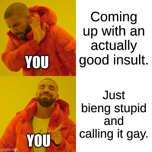 Drake Hotline Bling Meme | Coming up with an actually good insult. Just bieng stupid and calling it gay. YOU YOU | image tagged in memes,drake hotline bling | made w/ Imgflip meme maker