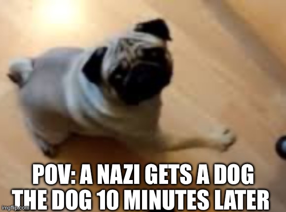 Sieg heil | POV: A NAZI GETS A DOG THE DOG 10 MINUTES LATER | made w/ Imgflip meme maker