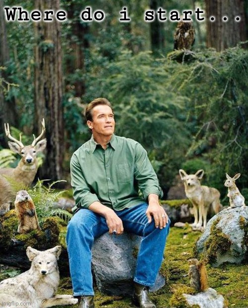 Arnold Schwarzenegger | Where do i start... | image tagged in arnold schwarzenegger | made w/ Imgflip meme maker