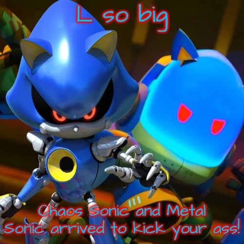 High Quality L so big Chaos Sonic and Metal Sonic arrived to kick your ass! Blank Meme Template