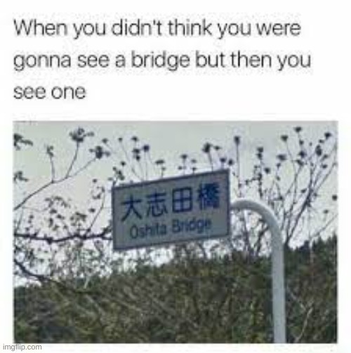 oh sh*t a bridge | image tagged in funny,hahaha | made w/ Imgflip meme maker