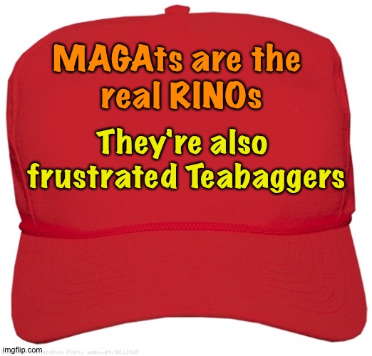 The truth about MAGAts | MAGAts are the 
real RINOs; They're also 
frustrated Teabaggers | image tagged in blank red maga hat | made w/ Imgflip meme maker