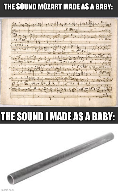 dropped baby | THE SOUND MOZART MADE AS A BABY:; THE SOUND I MADE AS A BABY: | image tagged in metal pipe falling image | made w/ Imgflip meme maker