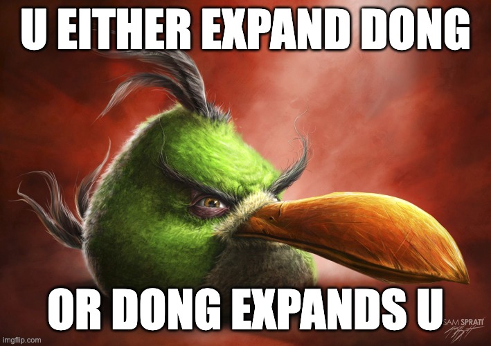 Realistic Angry Bird | U EITHER EXPAND DONG; OR DONG EXPANDS U | image tagged in realistic angry bird | made w/ Imgflip meme maker