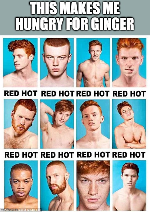 This Makes Me Hungry For Ginger | THIS MAKES ME HUNGRY FOR GINGER | image tagged in hungry,ginger,red hair,redhead,memes,hot | made w/ Imgflip meme maker