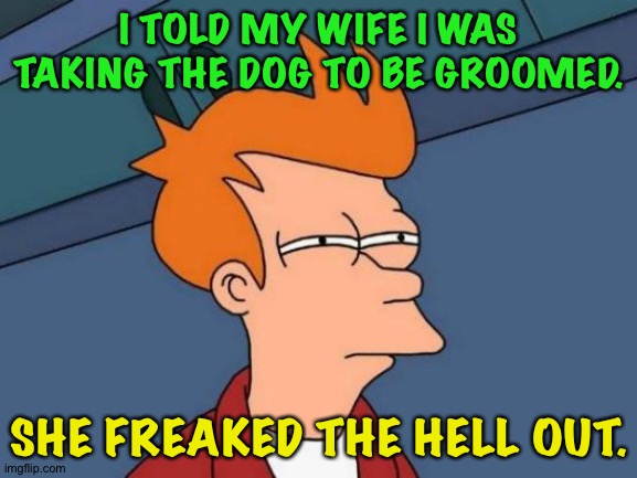 Over-reaction on the unhinged Right | I TOLD MY WIFE I WAS TAKING THE DOG TO BE GROOMED. SHE FREAKED THE HELL OUT. | image tagged in memes,futurama fry | made w/ Imgflip meme maker