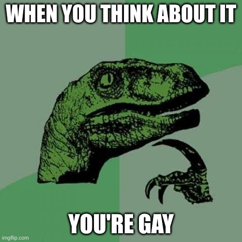 ur gei | WHEN YOU THINK ABOUT IT; YOU'RE GAY | image tagged in memes,philosoraptor,ur gay | made w/ Imgflip meme maker