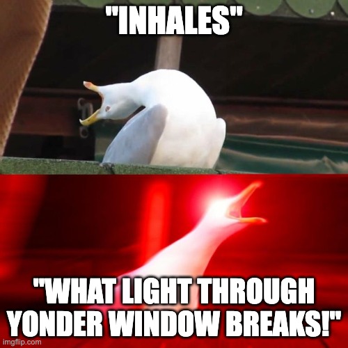 Inhales Seagull | "INHALES"; "WHAT LIGHT THROUGH YONDER WINDOW BREAKS!" | image tagged in inhales seagull | made w/ Imgflip meme maker