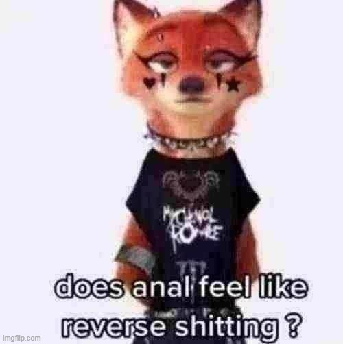 what | made w/ Imgflip meme maker