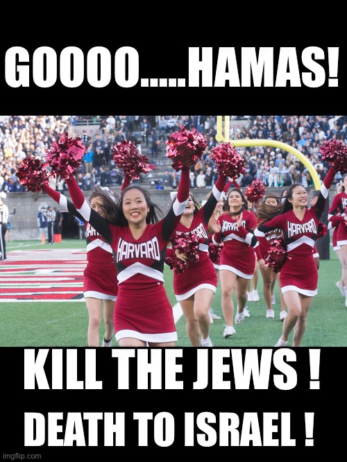 it's the rednecks the Jews have to watch out for right Harvard. | GOOOO…..HAMAS! KILL THE JEWS ! DEATH TO ISRAEL ! | image tagged in democrats,gen z | made w/ Imgflip meme maker