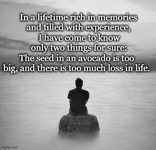 Two Things For Sure | In a lifetime rich in memories and filled with experience, I have come to know only two things for sure:; The seed in an avocado is too big, and there is too much loss in life. | image tagged in philosophy | made w/ Imgflip meme maker