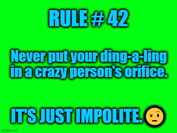 Careful where you put that thing! | RULE # 42; Never put your ding-a-ling in a crazy person's orifice. IT'S JUST IMPOLITE.🤨 | made w/ Imgflip meme maker
