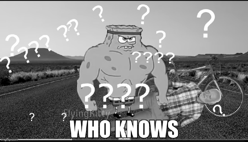 Who knows | image tagged in who knows | made w/ Imgflip meme maker