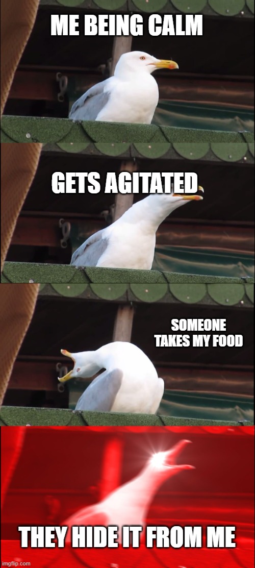 Inhaling Seagull | ME BEING CALM; GETS AGITATED; SOMEONE TAKES MY FOOD; THEY HIDE IT FROM ME | image tagged in memes,inhaling seagull | made w/ Imgflip meme maker
