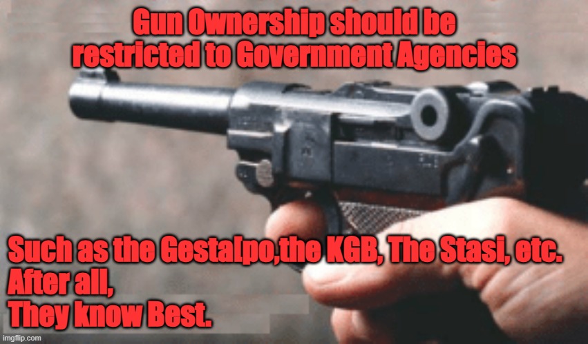 Government Guns | Gun Ownership should be restricted to Government Agencies; Such as the Gesta[po,the KGB, The Stasi, etc. 
After all, 
They know Best. | image tagged in guns,evil government,slaves | made w/ Imgflip meme maker
