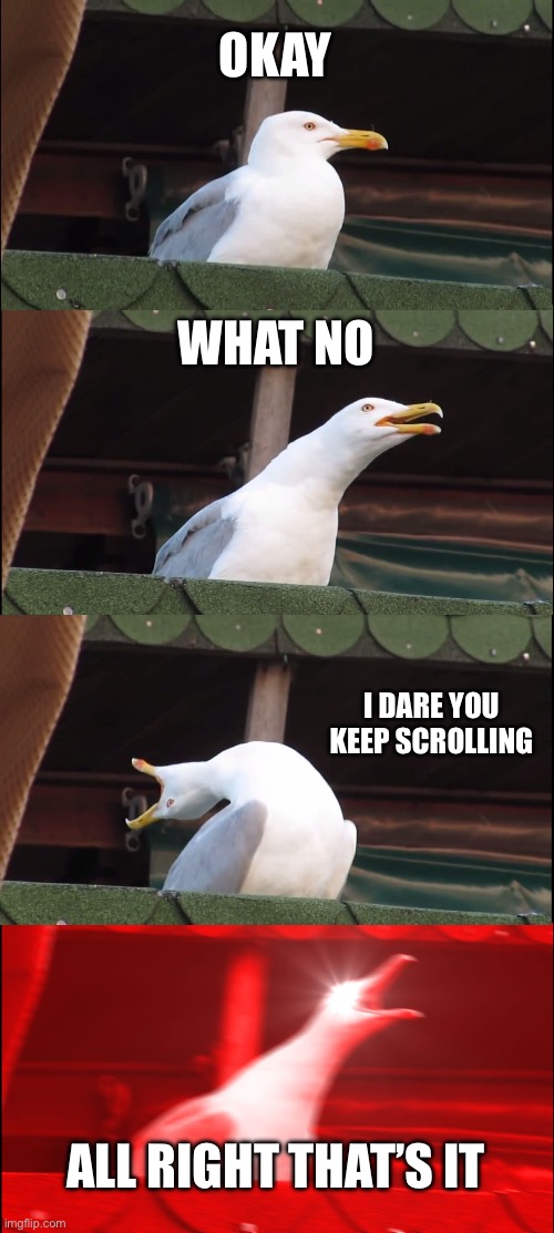 Me scrolling through memes | OKAY; WHAT NO; I DARE YOU KEEP SCROLLING; ALL RIGHT THAT’S IT | image tagged in memes,inhaling seagull | made w/ Imgflip meme maker