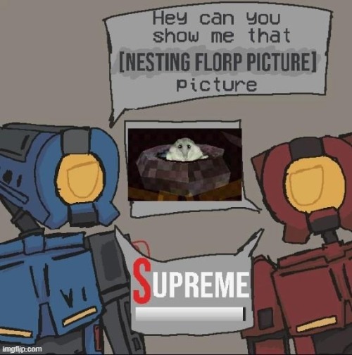 made w/ Imgflip meme maker