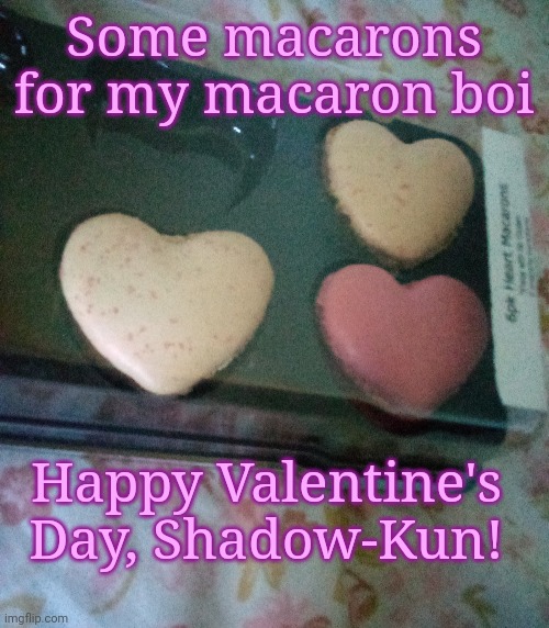 (Early Valentine's Day Gift for Shadow) | Some macarons for my macaron boi; Happy Valentine's Day, Shadow-Kun! | made w/ Imgflip meme maker