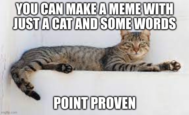 Too true | image tagged in cats,can't argue with that / technically not wrong | made w/ Imgflip meme maker