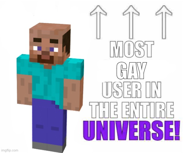 Most racist user ever DX remastered | GAY | image tagged in most racist user ever dx remastered | made w/ Imgflip meme maker