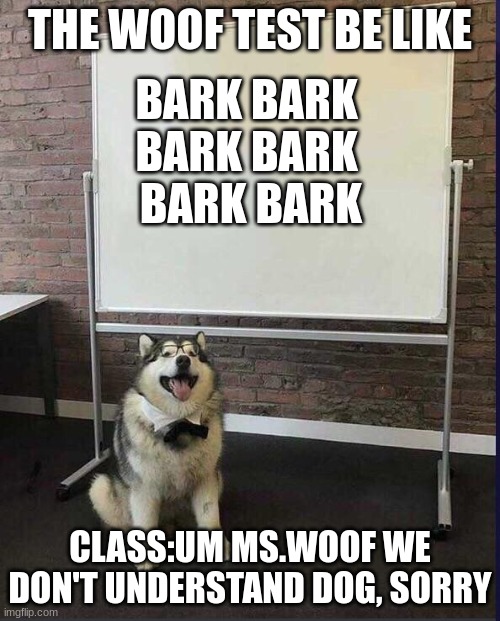 Presentation Dog | THE WOOF TEST BE LIKE; BARK BARK 
BARK BARK 
BARK BARK; CLASS:UM MS.WOOF WE DON'T UNDERSTAND DOG, SORRY | image tagged in presentation dog | made w/ Imgflip meme maker
