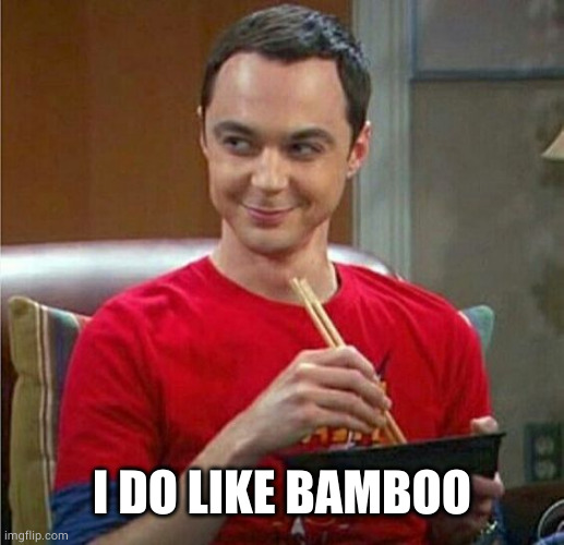 Sheldon Chinese Food | I DO LIKE BAMBOO | image tagged in sheldon chinese food | made w/ Imgflip meme maker