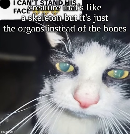 hey bro | creature that's like a skeleton but it's just the organs instead of the bones | image tagged in hey bro | made w/ Imgflip meme maker