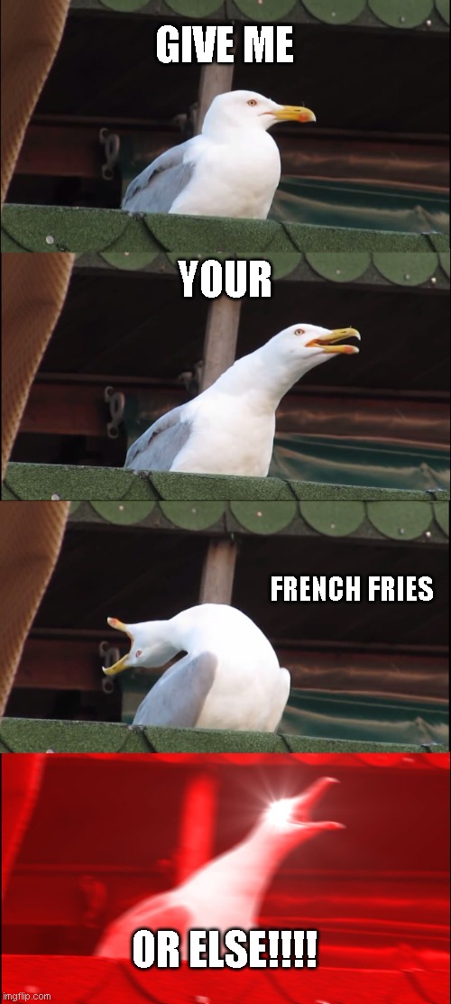 ya like it papa? | GIVE ME; YOUR; FRENCH FRIES; OR ELSE!!!! | image tagged in memes,inhaling seagull | made w/ Imgflip meme maker