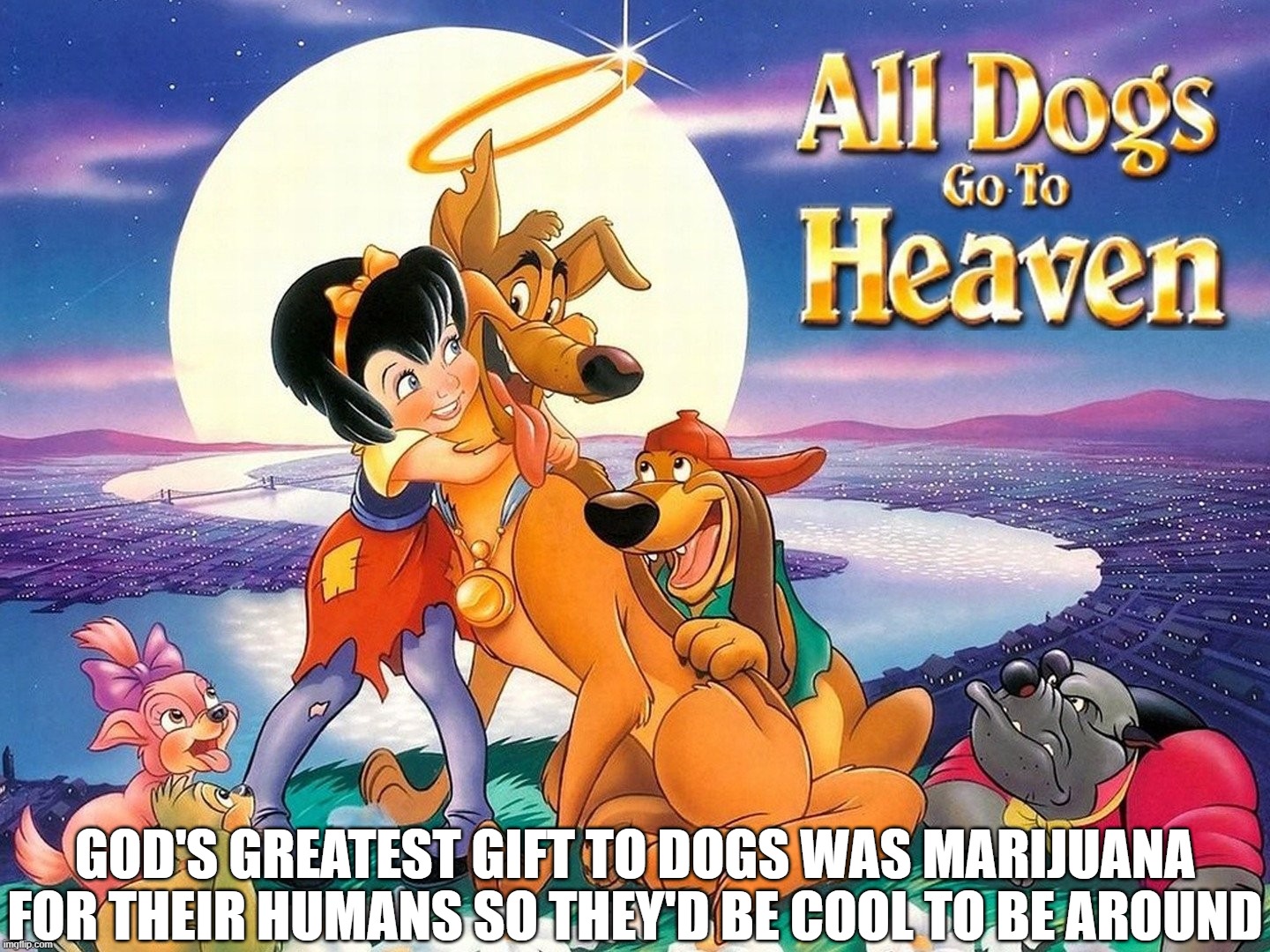 Dogs go to Heaven, Masters get Weed | GOD'S GREATEST GIFT TO DOGS WAS MARIJUANA FOR THEIR HUMANS SO THEY'D BE COOL TO BE AROUND | image tagged in all dogs,weed,heaven | made w/ Imgflip meme maker