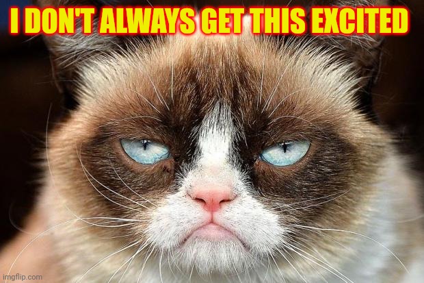 I don't always get this excited | I DON'T ALWAYS GET THIS EXCITED | image tagged in memes,grumpy cat not amused,grumpy cat,funny memes | made w/ Imgflip meme maker