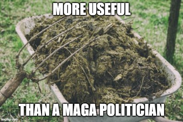 Manure | MORE USEFUL; THAN A MAGA POLITICIAN | image tagged in manure | made w/ Imgflip meme maker
